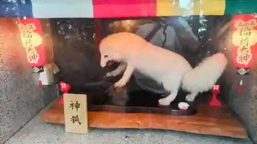 開運招福 飯玉神社(群馬県)