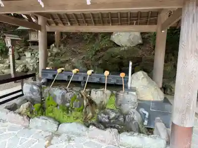 多度大社の{uncategorized: "未分類", other: "その他", undefined: "問題あり", building: "その他建物", grave: "お墓", sacred_gate: "鳥居", guardian: "狛犬", statue: "像", buddha: "仏像", history: "歴史", nature: "自然", garden: "庭園", animal: "動物", pagoda: "塔", temizu: "手水舎", mountain_gate: "山門・神門", sanctuary: "本殿・本堂", subordinate: "末社・摂社", art: "芸術", scenery: "景色", jizo: "地蔵", ema: "絵馬", goshuin: "御朱印", omikuji: "おみくじ", items: "授与品その他", amulet: "お守り", goshuincho: "御朱印帳", eats: "食事", festival: "お祭り", votive_dance: "神楽", shichigosan: "七五三参", wedding: "結婚式", experience: "体験その他", initially: "初詣", around: "周辺", anti_infection: "感染症対策"}