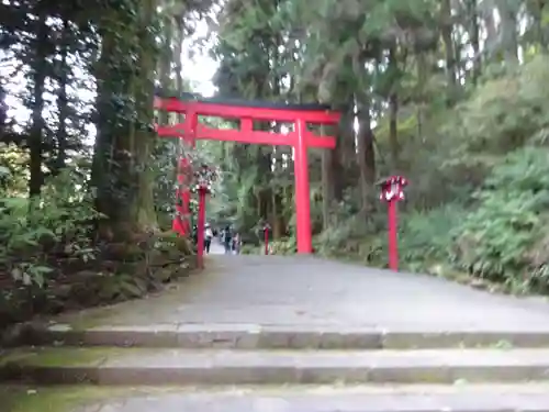 箱根神社の鳥居