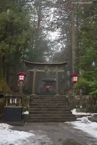 北口本宮冨士浅間神社の鳥居