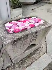 野見神社の手水