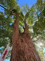 神戸水天宮(兵庫県)