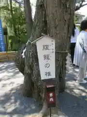 七社神社(東京都)