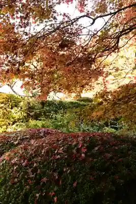 詩仙堂(丈山寺)(京都府)