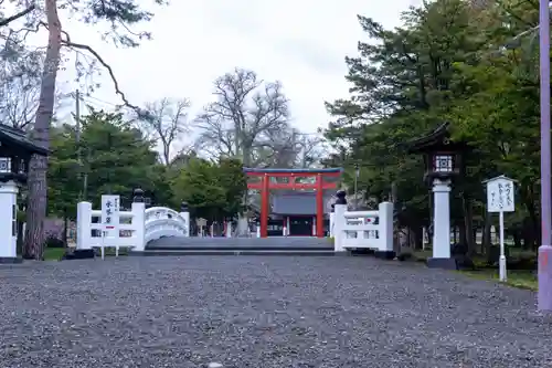 北海道護國神社の鳥居