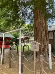 白岡八幡神社(埼玉県)