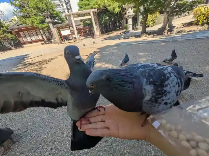 四柱神社(長野県)