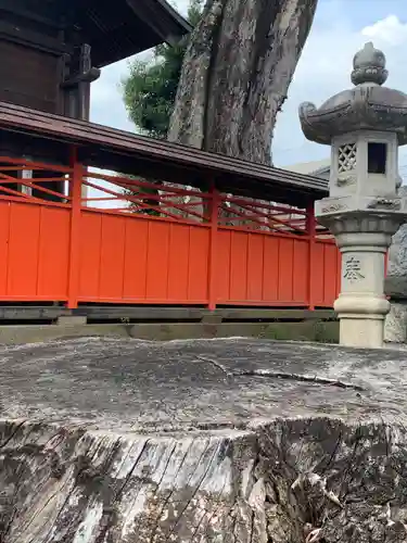 橘神社(埼玉県)