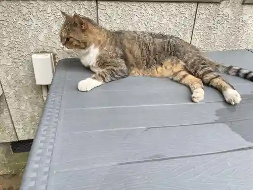 鎌数伊勢大神宮の御朱印