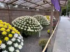 亀戸天神社の庭園