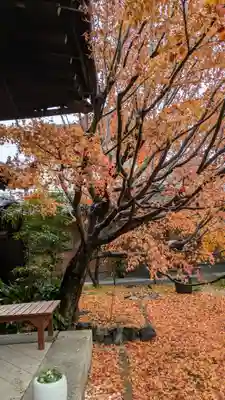 勝林寺(京都府)