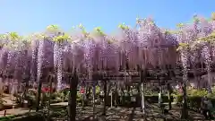 箭弓稲荷神社の庭園