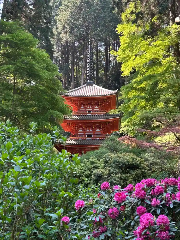 京都】関西花の寺30周年記念 『岩船寺』でいただいたステキな