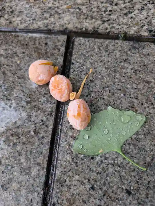 観音寺(東京都)