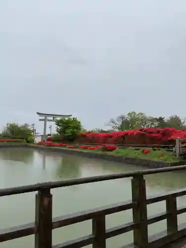 長岡天満宮(京都府)