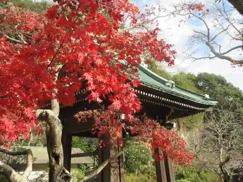 海蔵寺のその他建物