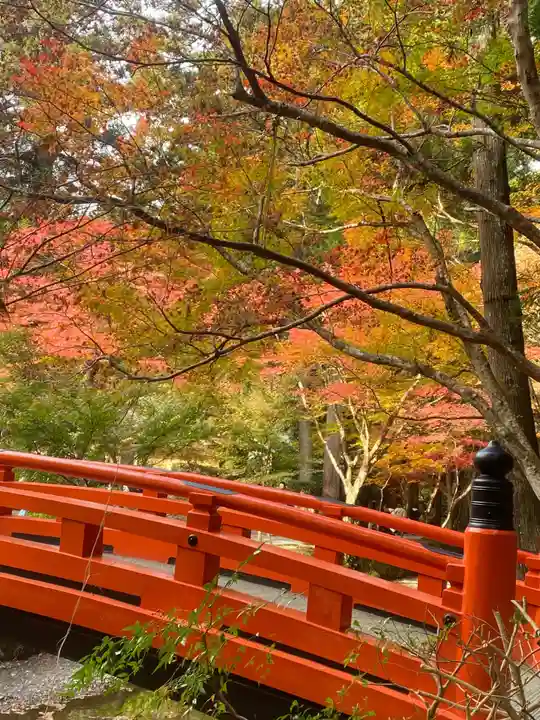 小國神社(静岡県)