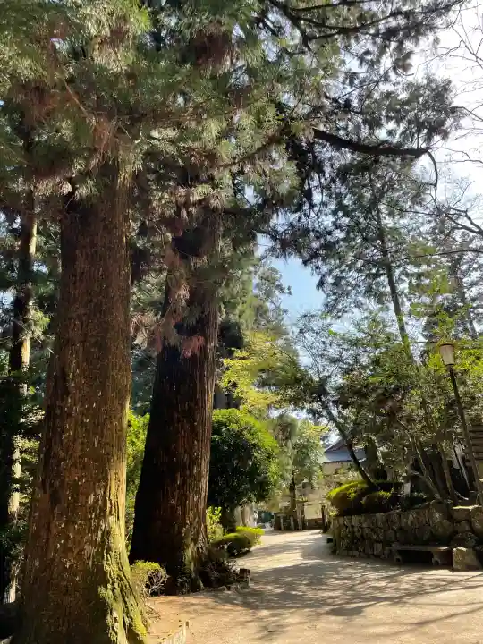 鶴林寺(徳島県)