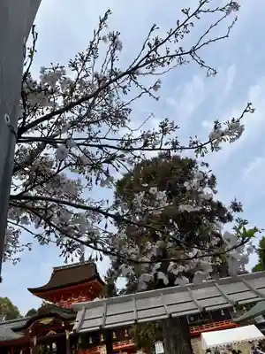 石清水八幡宮(京都府)