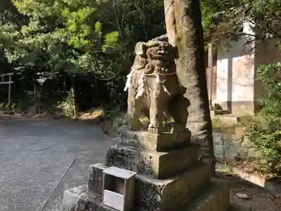 宇佐八幡神社の狛犬