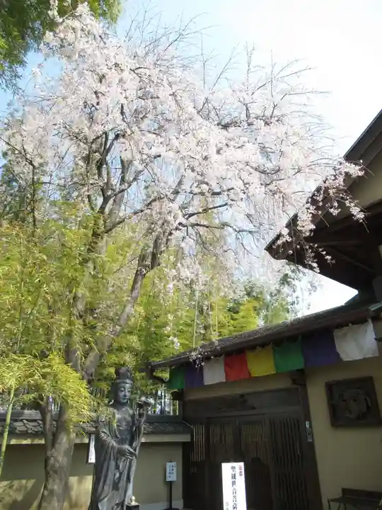 真光寺(千葉県)