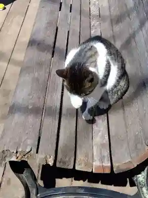 王禅寺(神奈川県)