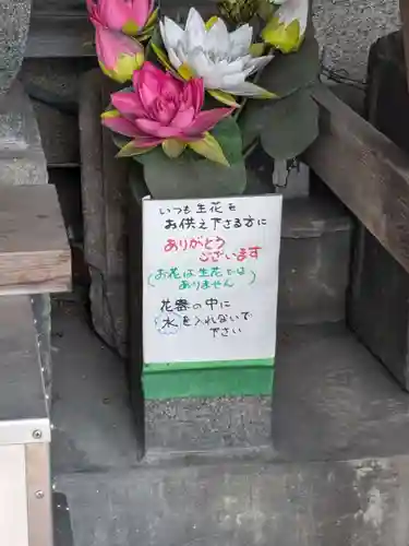 喜多向観世音菩薩(東京都)