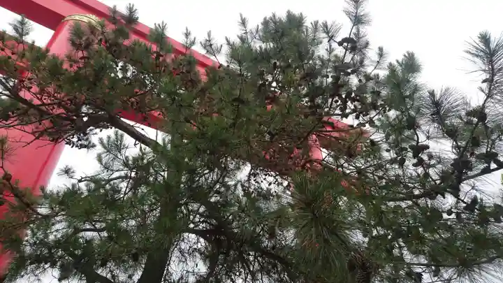 自凝島神社の自然