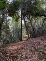 矢口神社の周辺