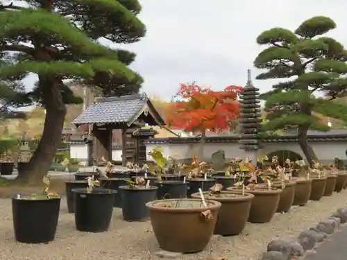 法蔵寺(福島県)
