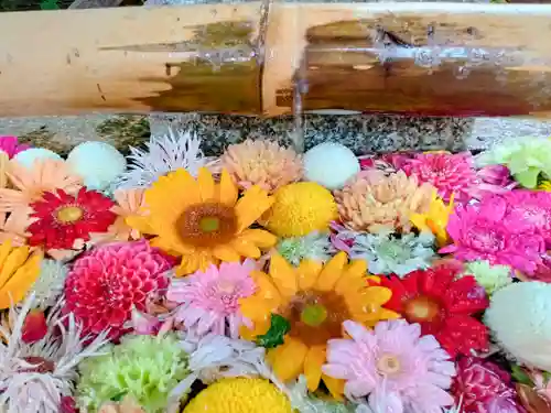 海老江八坂神社(大阪府)