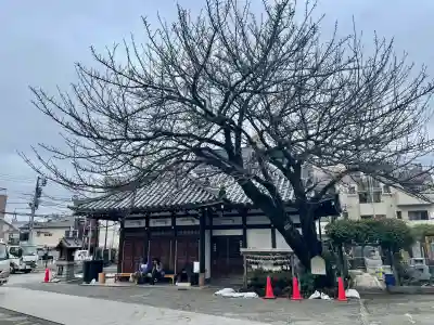 感通寺の{uncategorized: "未分類", other: "その他", undefined: "問題あり", building: "その他建物", grave: "お墓", sacred_gate: "鳥居", guardian: "狛犬", statue: "像", buddha: "仏像", history: "歴史", nature: "自然", garden: "庭園", animal: "動物", pagoda: "塔", temizu: "手水舎", mountain_gate: "山門・神門", sanctuary: "本殿・本堂", subordinate: "末社・摂社", art: "芸術", scenery: "景色", jizo: "地蔵", ema: "絵馬", goshuin: "御朱印", omikuji: "おみくじ", items: "授与品その他", amulet: "お守り", goshuincho: "御朱印帳", eats: "食事", festival: "お祭り", votive_dance: "神楽", shichigosan: "七五三参", wedding: "結婚式", experience: "体験その他", initially: "初詣", around: "周辺", anti_infection: "感染症対策"}