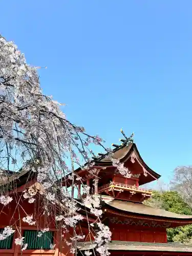 富士山本宮浅間大社(静岡県)