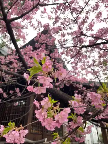 新宿下落合氷川神社(東京都)