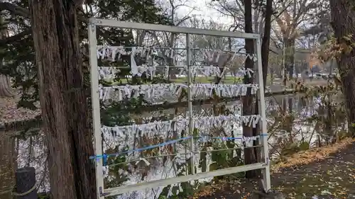 上川神社頓宮のおみくじ