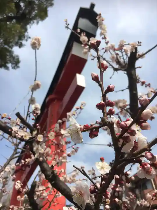 京濱伏見稲荷神社の自然