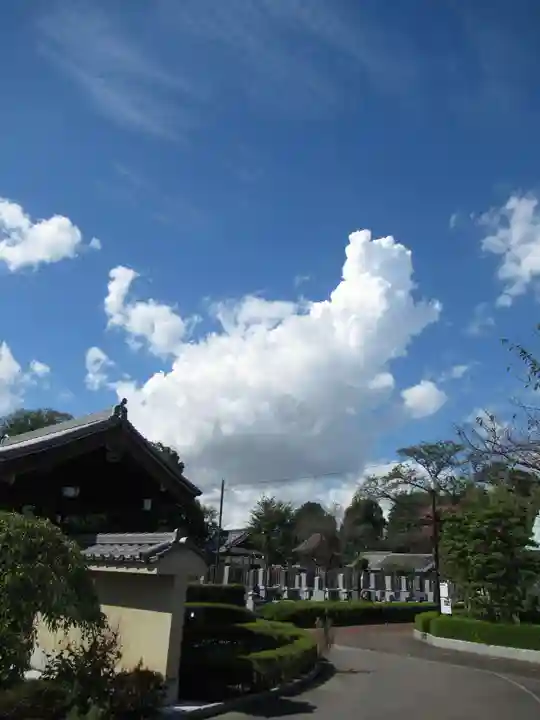 真光寺(千葉県)