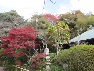 浄光明寺(神奈川県)