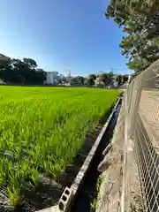 住吉大社(大阪府)