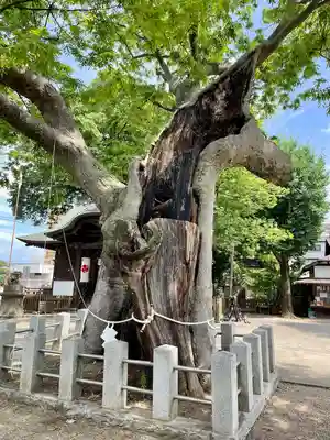 阿邪訶根神社(福島県)