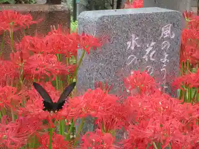 長命寺のその他建物