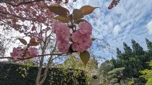 圓光寺(京都府)