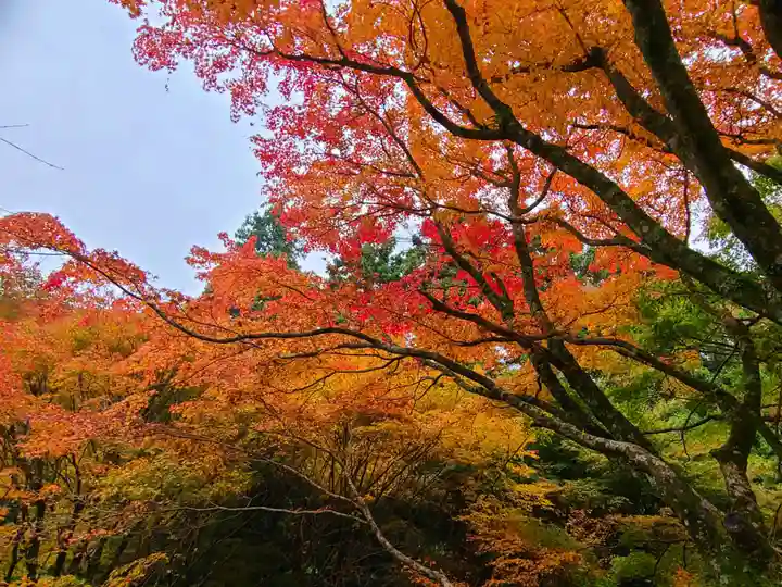 千如寺大悲王院(福岡県)