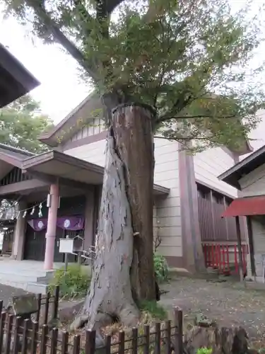 日野八坂神社のその他建物