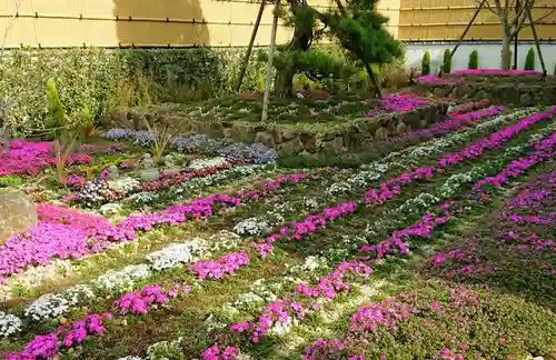 寿量山　速成寺の庭園