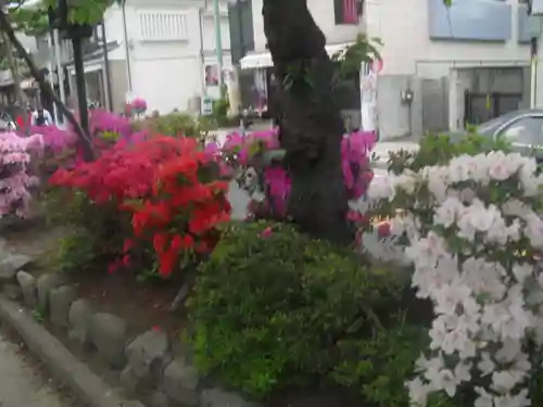 鶴岡八幡宮の自然