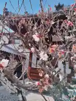 西方寺の{uncategorized: "未分類", other: "その他", undefined: "問題あり", building: "その他建物", grave: "お墓", sacred_gate: "鳥居", guardian: "狛犬", statue: "像", buddha: "仏像", history: "歴史", nature: "自然", garden: "庭園", animal: "動物", pagoda: "塔", temizu: "手水舎", mountain_gate: "山門・神門", sanctuary: "本殿・本堂", subordinate: "末社・摂社", art: "芸術", scenery: "景色", jizo: "地蔵", ema: "絵馬", goshuin: "御朱印", omikuji: "おみくじ", items: "授与品その他", amulet: "お守り", goshuincho: "御朱印帳", eats: "食事", festival: "お祭り", votive_dance: "神楽", shichigosan: "七五三参", wedding: "結婚式", experience: "体験その他", initially: "初詣", around: "周辺", anti_infection: "感染症対策"}