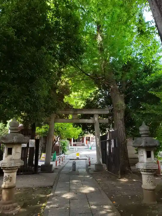 荻窪白山神社の鳥居