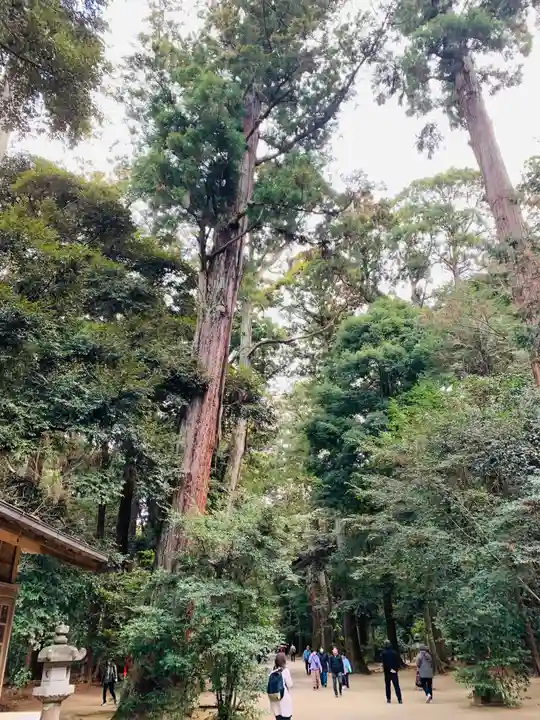 鹿島神宮(茨城県)