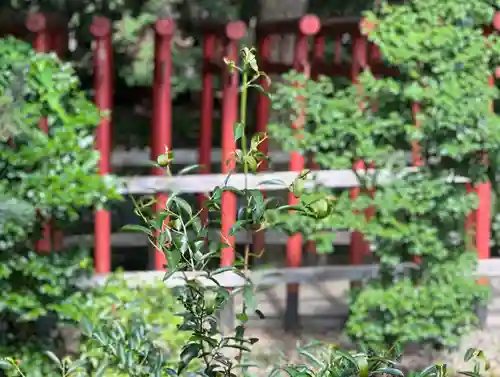 手力雄神社の自然